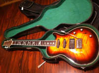 Paul Reed Smith PRS custom by Nick
