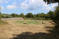 Istra, okolica Orbanići, poljoprivredno zemljište, 21580m2