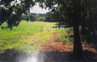 Istra, Poreč, poljoprivredno zemljište, 29.400m2