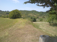 Istra zemljište 12.550m2 jedinstvena pozicija u prirodi okružena šumom
