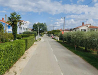 Oaza maslinika nadomak Poreča!