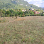Teren ISTRA, LUPOGLAV, 1999m2