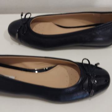 Nove Geox cipele
